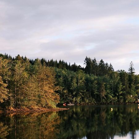 Lodge Avec Spa Privatif - Foret Et Lac Liginiac Exteriör bild