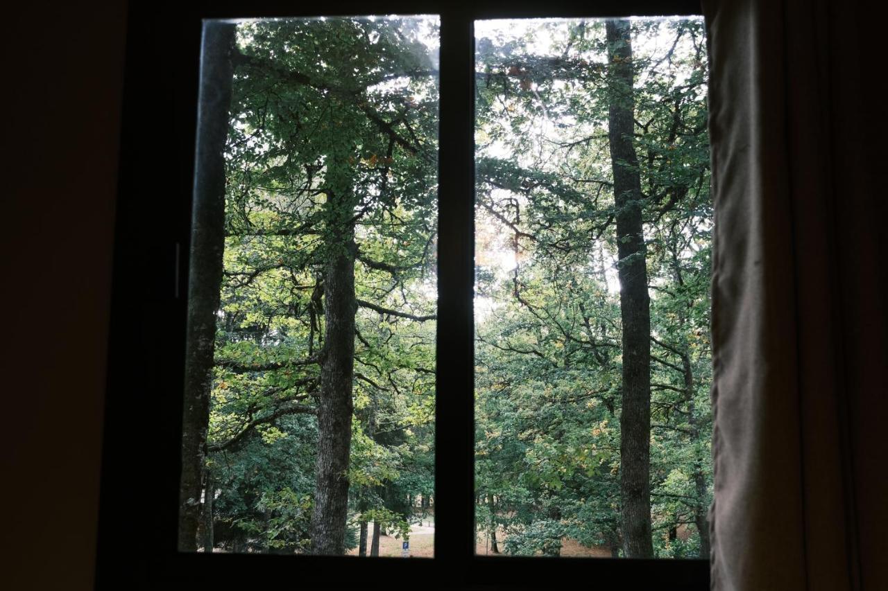 Lodge Avec Spa Privatif - Foret Et Lac Liginiac Exteriör bild