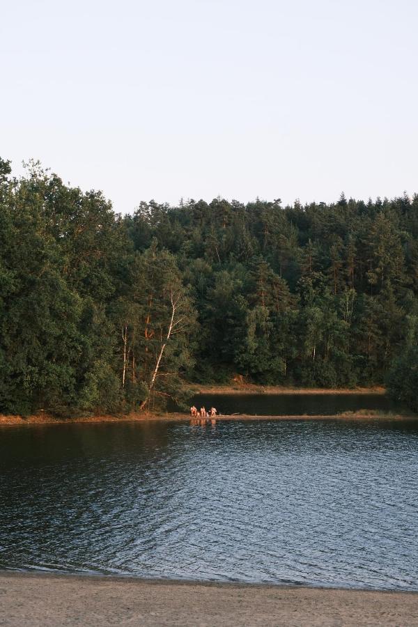 Lodge Avec Spa Privatif - Foret Et Lac Liginiac Exteriör bild