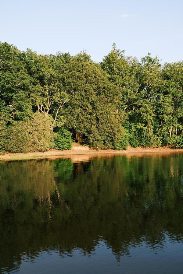 Lodge Avec Spa Privatif - Foret Et Lac Liginiac Exteriör bild