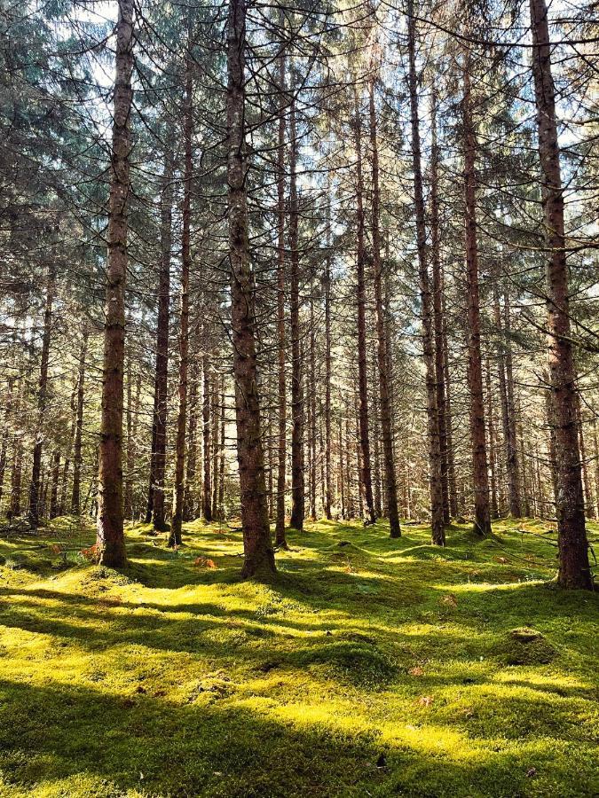 Lodge Avec Spa Privatif - Foret Et Lac Liginiac Exteriör bild
