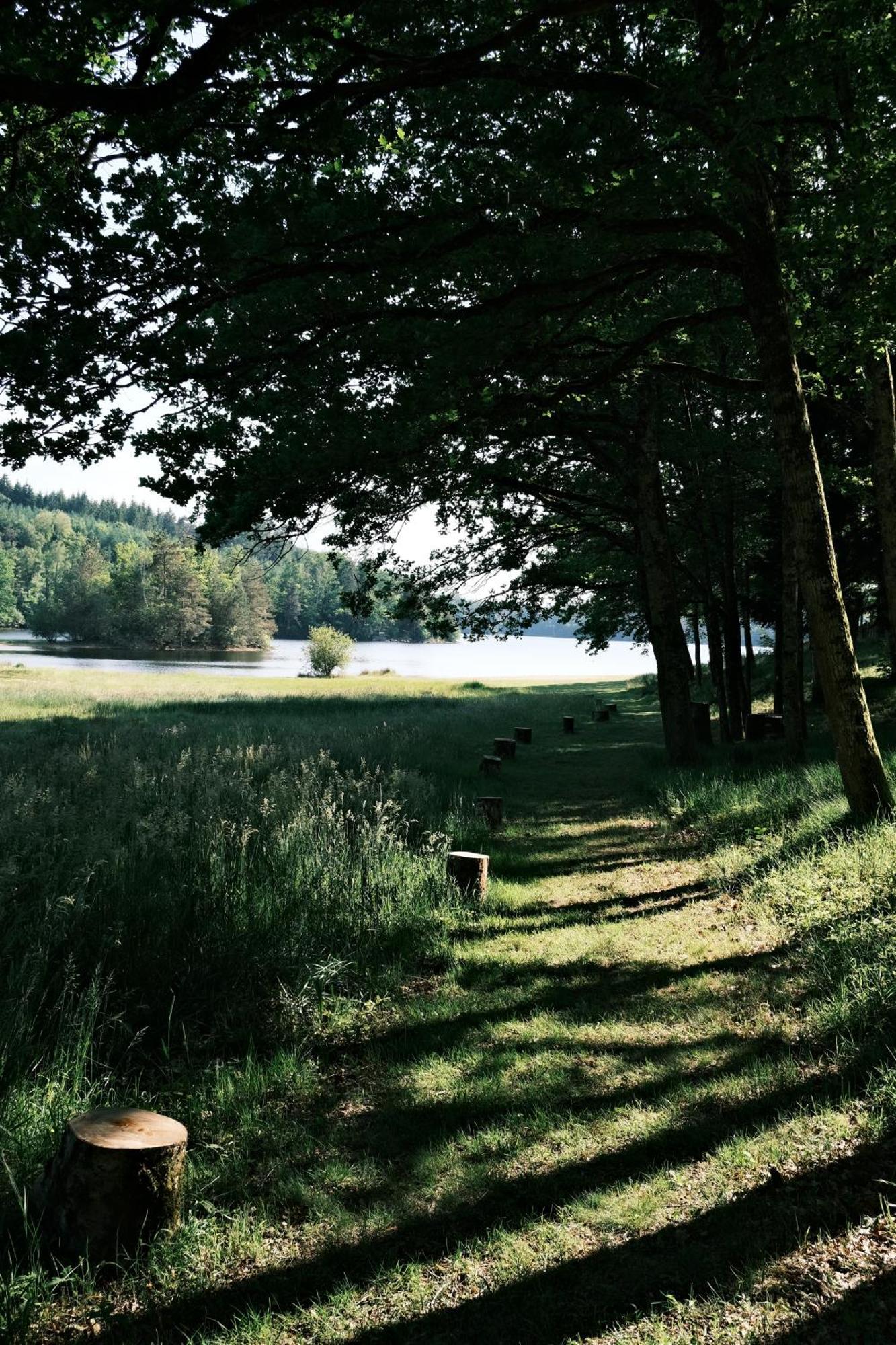 Lodge Avec Spa Privatif - Foret Et Lac Liginiac Exteriör bild
