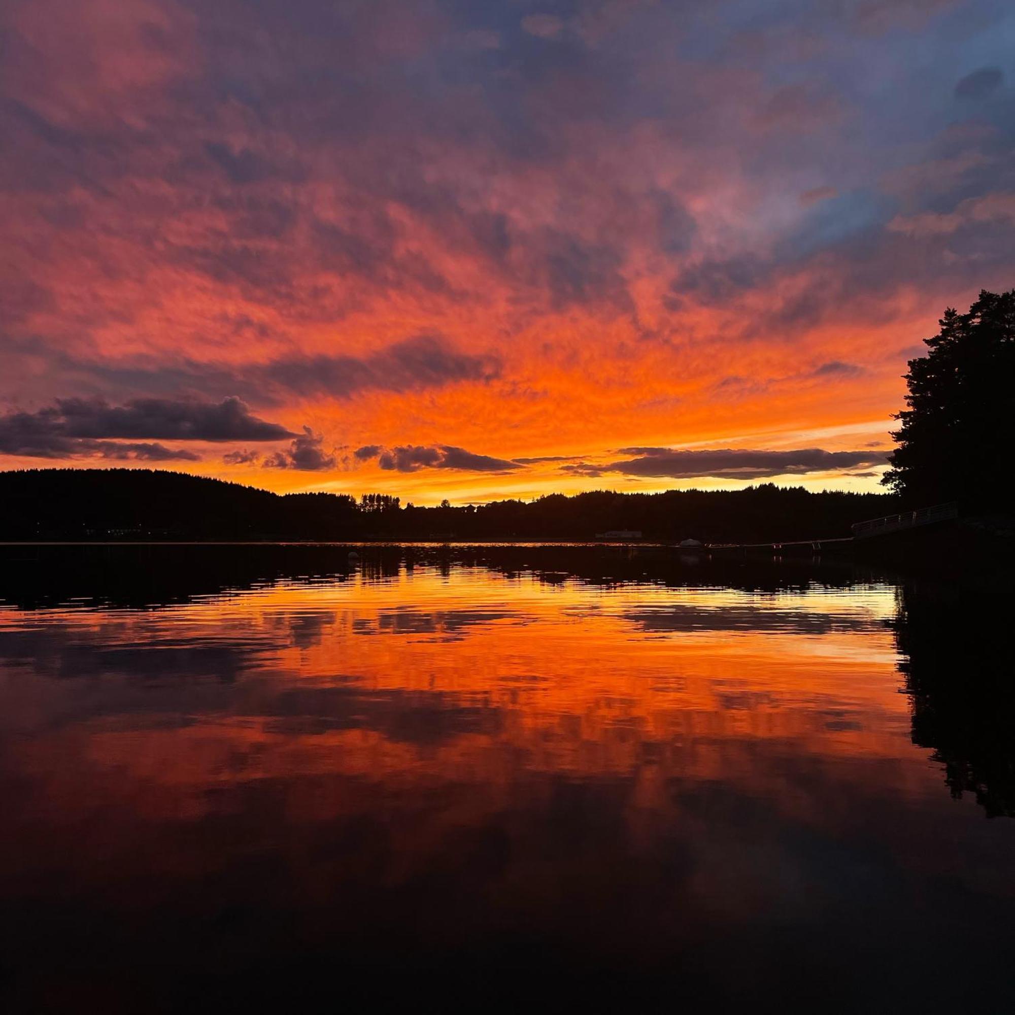 Lodge Avec Spa Privatif - Foret Et Lac Liginiac Exteriör bild